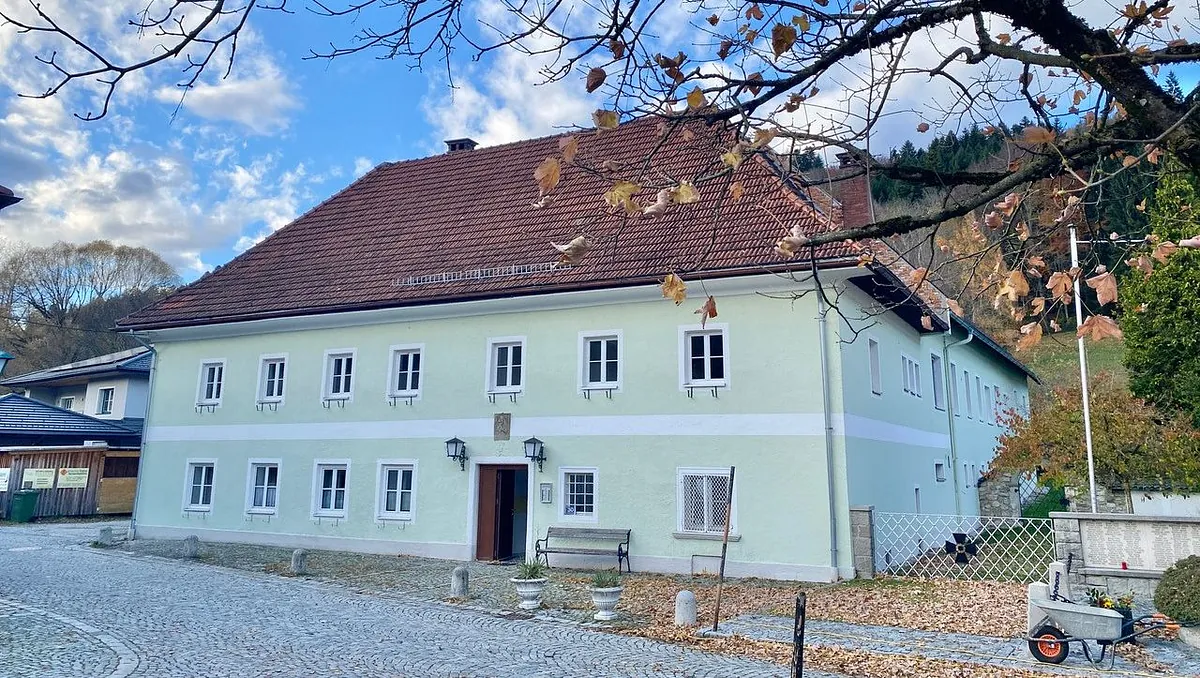 Foto grünes Bauernhaus (Zinshaus)